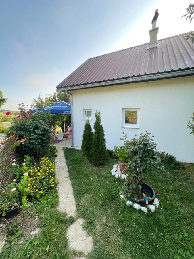 Appartement Vikendica Vrba à Gacko Extérieur photo